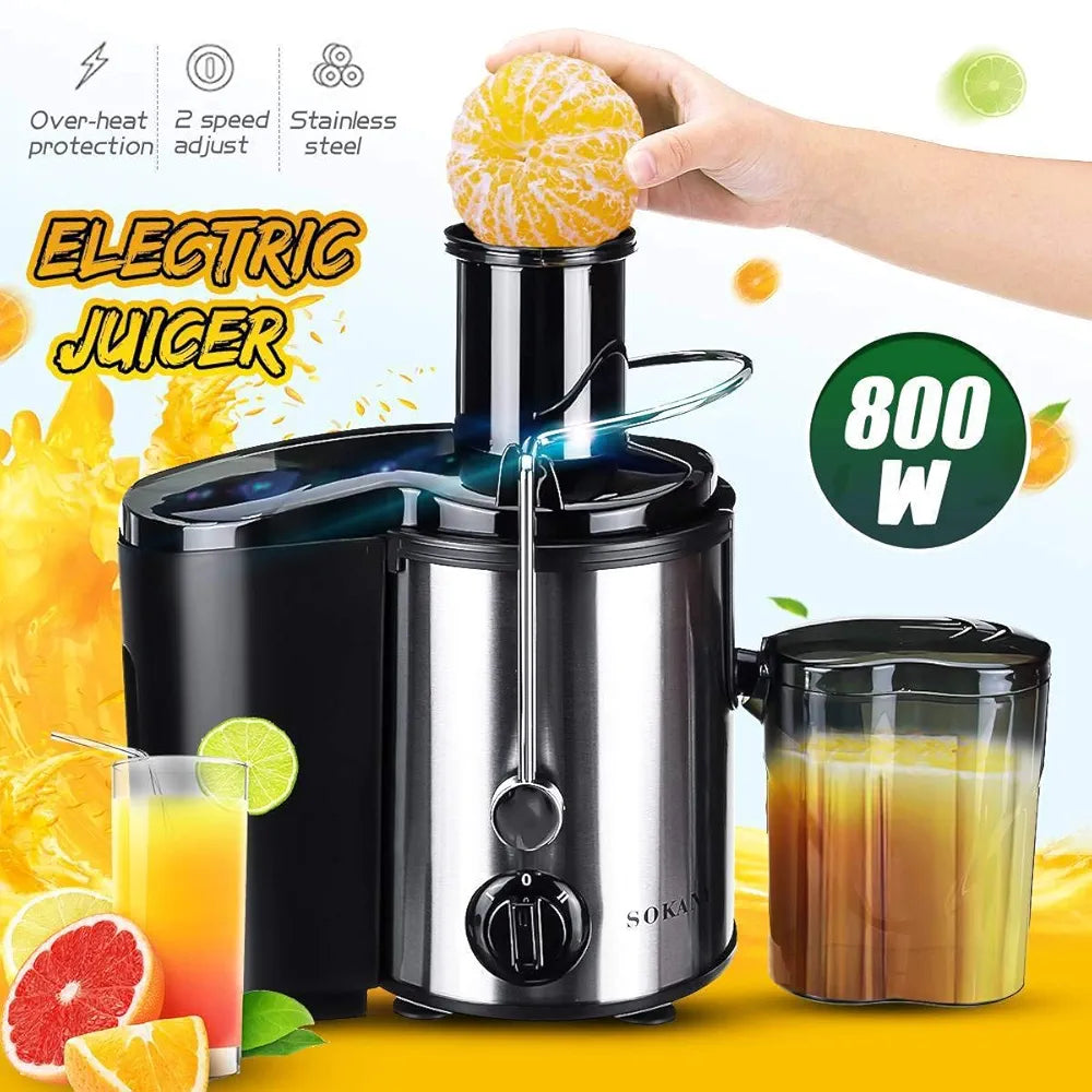 Extracteur de Jus - 800 W - Gris