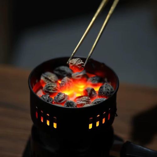 Brûleur de charbon électrique avec plaque chauffage