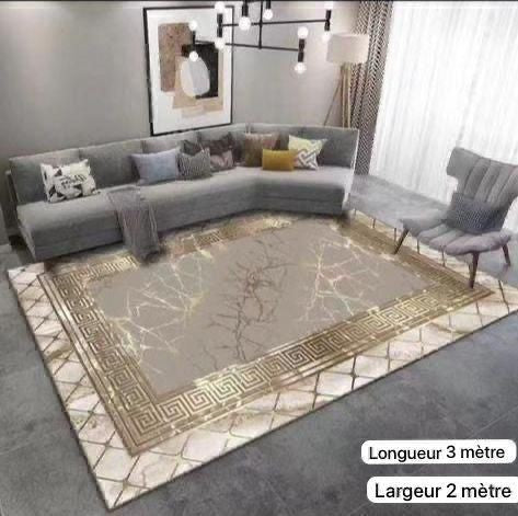 Grand Tapis De Luxe 3D Grande Taille 2m/3m Pour Salon, Décoration De Maison, Canapé